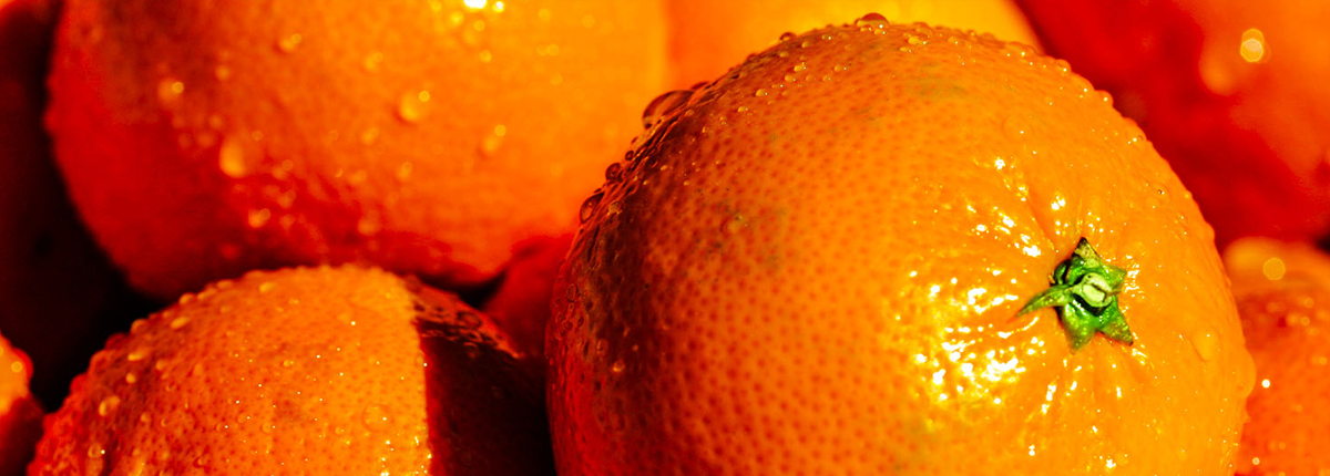 呼死你电话轰炸