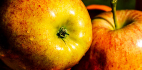 免费手机号轰炸机